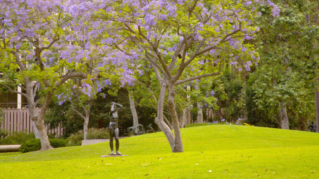 Franklin D Murphy Sculpture Garden at UCLA