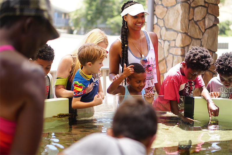 Single Moms Planet Summer Camp for Business-Minded Single Moms and their Kids Returns this Month 39 single moms planet boy scouts camping aquarium size