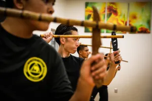 Learning About Kali Filipino Stick Fighting 38 stick 1 scaled 1