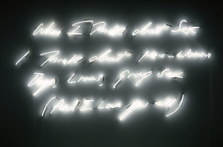 tracey emin when I think about sex..