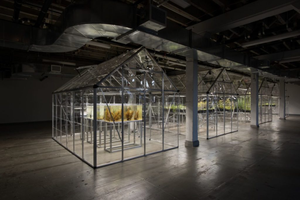 Michael Wang Extinct in New York 2019. Living organisms lights air and water circulation devices substrate aluminum polycarbonate and acrylic enclosures. Dimensions variable.