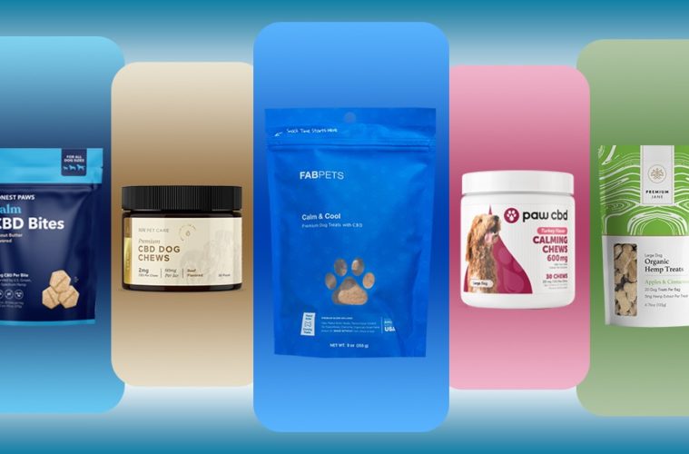 best cbd dog treats