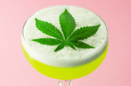 cannabis cocktail scaled e1664730859775