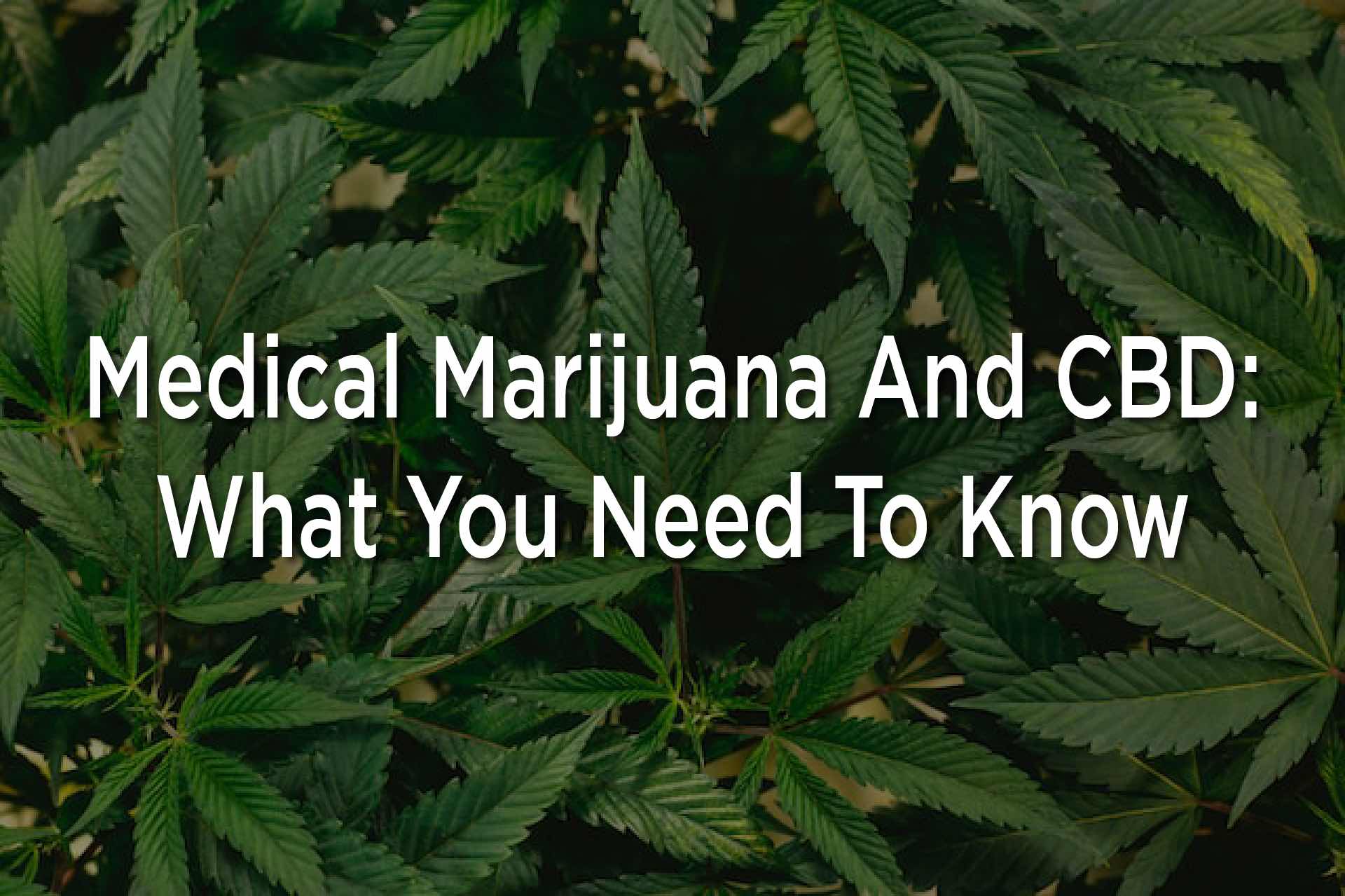 Medical Marijuana And CBD: What You Need To Know