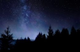 5 types of marijuana to help ease you into daylight savings 1068x580 1