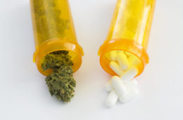 cannabis prescription drugs e1667156298465