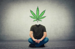 marijuana brain e1667942249698