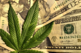 marijuana money e1667771934148