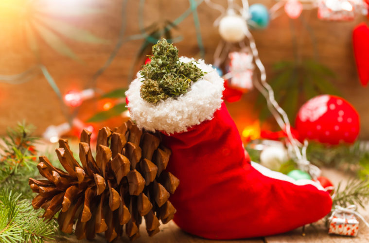 cannabis christmas connection