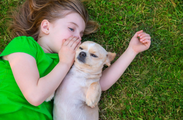 Does It Work? Teach Your Dog How to Speak With Dog Talking Buttons 38 dog talking buttons
