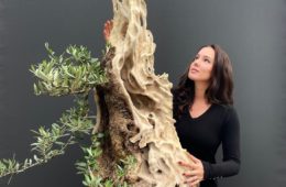 Dr. Kasia Sterrikers