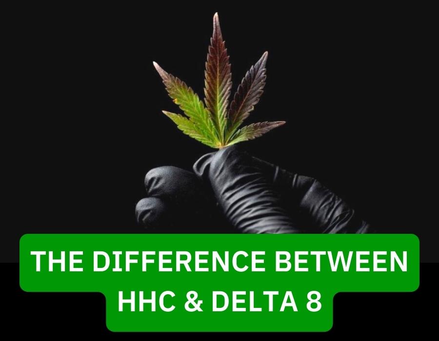 The difference between HHC delta 8