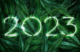 cannabis 2023 scaled e1672871847668