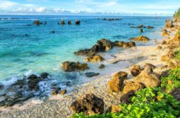 Nauru Independence Day