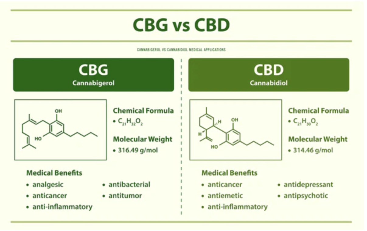 cbg vs cbd 