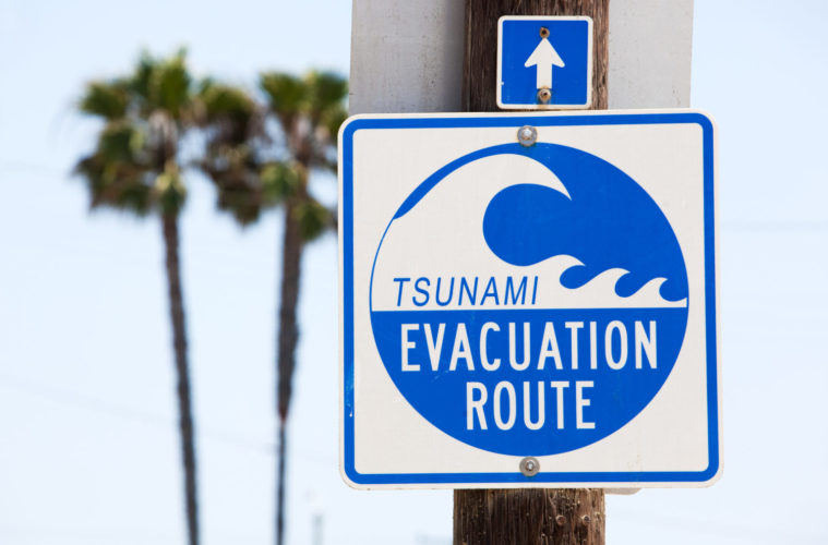 what to do in a tsunami