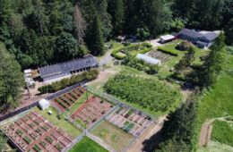 SunDogFarm