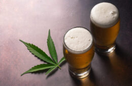 Did You Know? 10 Interesting Cannabis Facts You May or May Not Know 46 interesting cannabis facts