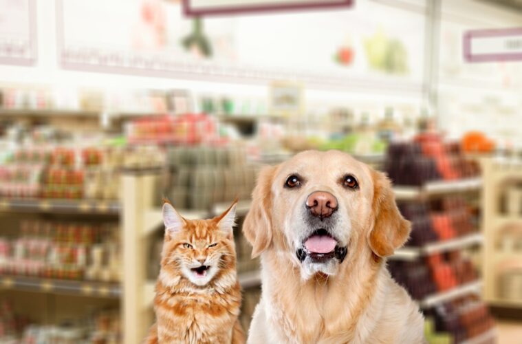 shop for dogs