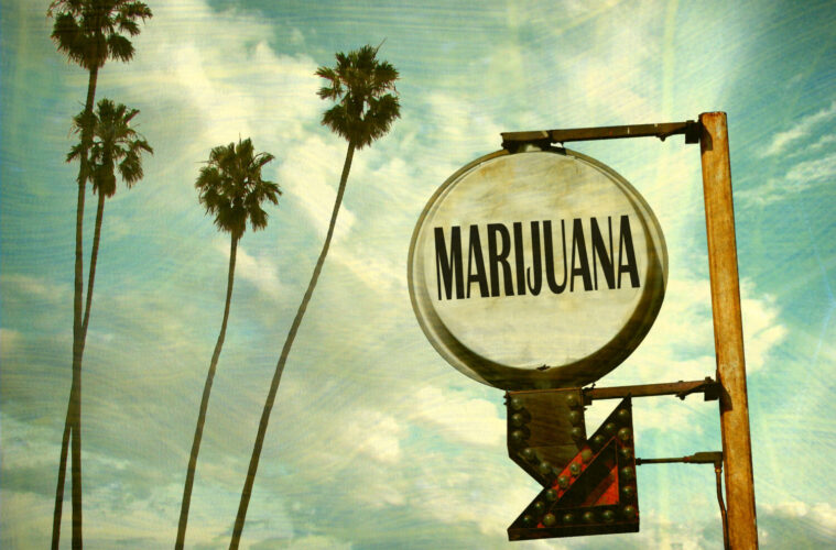 California cannabis scene 2023