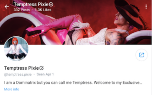 temptress.pixie 