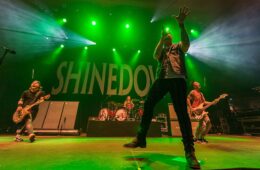Presale Codes for Shinedown