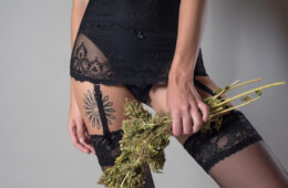 strongest marijuana strains