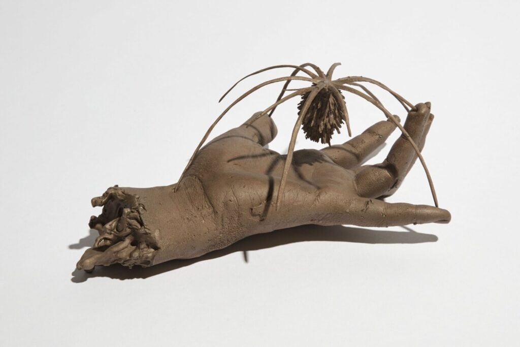 MOCA Kelly Akashi Hybrid Life Forms 2019 2021 Lost wax cast bronze 3.5 x 7.5 x 9.5 inches 9 x 19 x 24 cm. Courtesy of Francois Ghebaly Gallery and the artist. Photo by Paul Salveson.