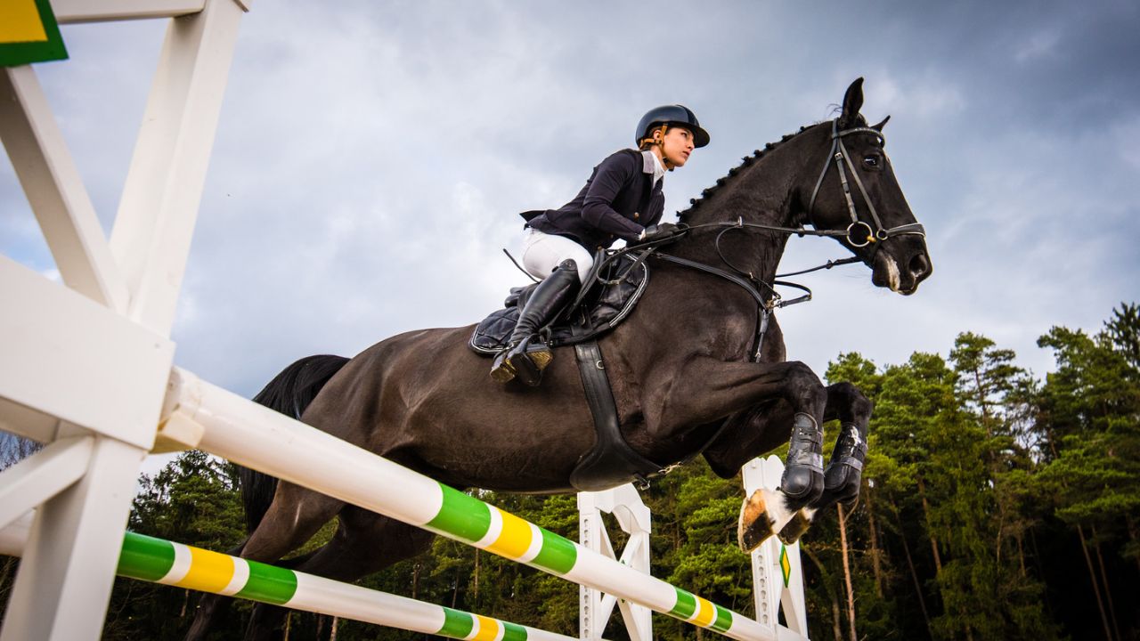 The Art of Show Jumping Mastering the Basics with Alec Lawler image