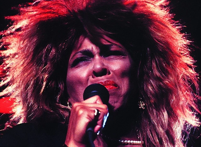 facts about tina turner