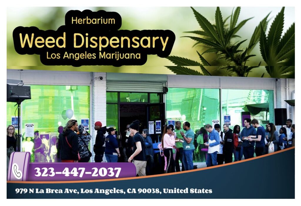 Herbarium Weed Dispensary Where Quality Cannabis and Culture Unite in