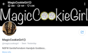 magiccookiegirl