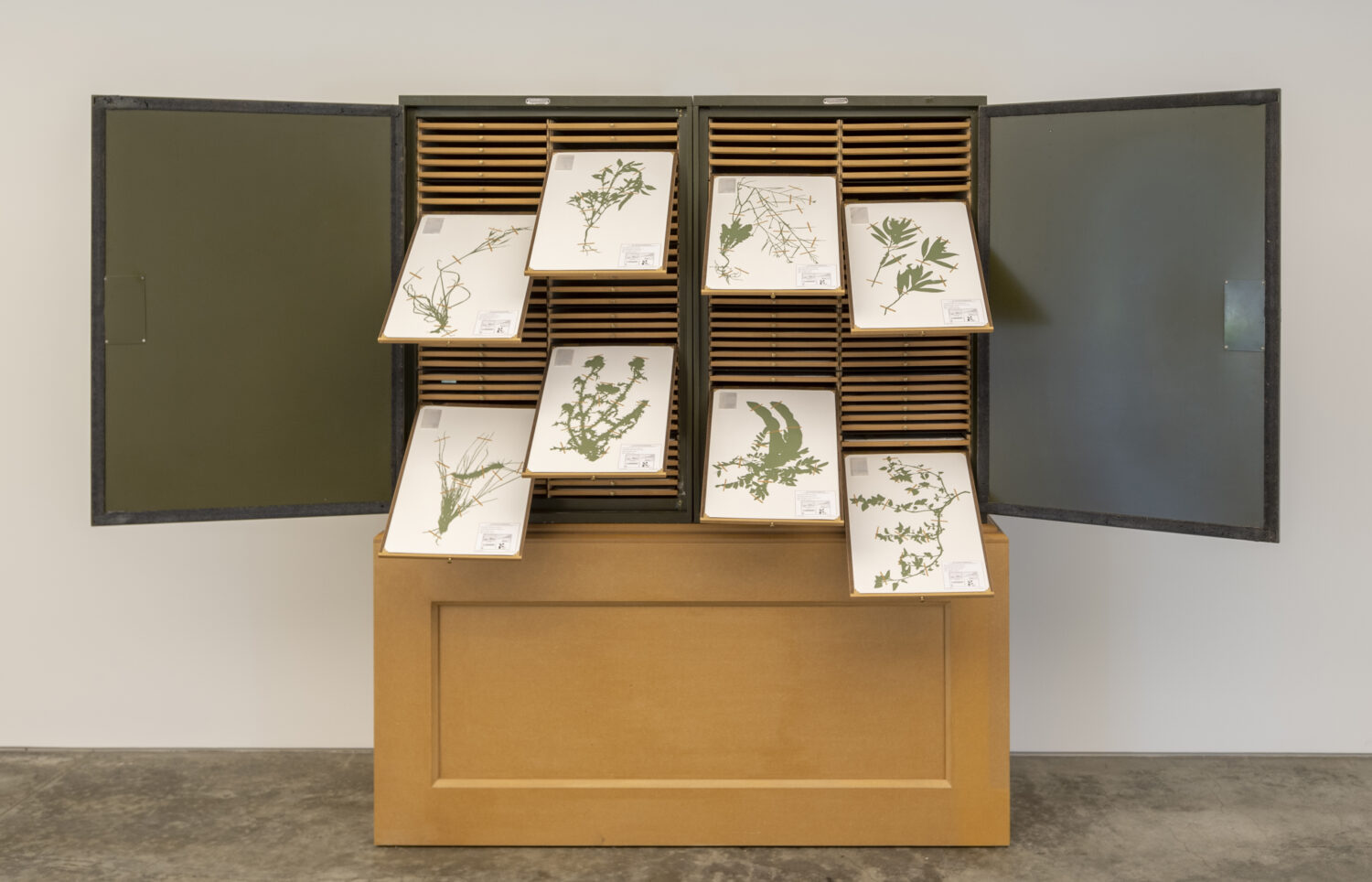 14 Yurshansky Jenny Blacklisted A Planted Allegory Herbarium