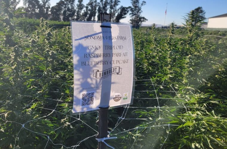 Croptober 2023 in Full Swing 38 20230910 181058