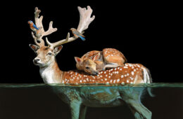 arts calendar