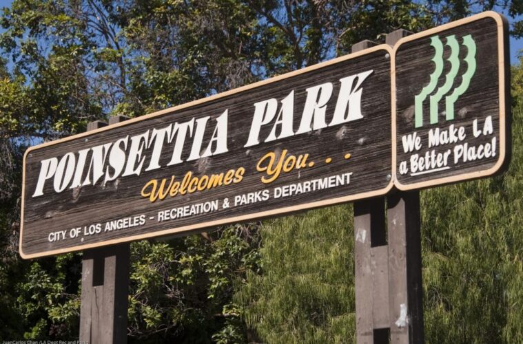 Multiple Homeless Encampments Cleared To Start New Year 38 poinsettia park la