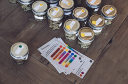 EMERALD CUP JUDGING 2