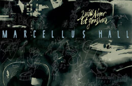 5. MarcellusHall BLOG