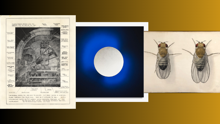 Thirteen Things: Arts Calendar Spring/Summer Preview 51 Crossing Over Art and Science at Caltech 1920–2020 at Caltech Septe