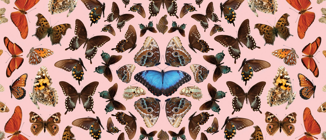 NHM Butterfly Pavilion