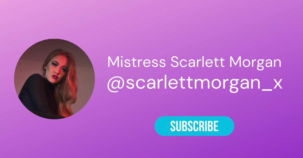 @scarlettmorgan x LAW