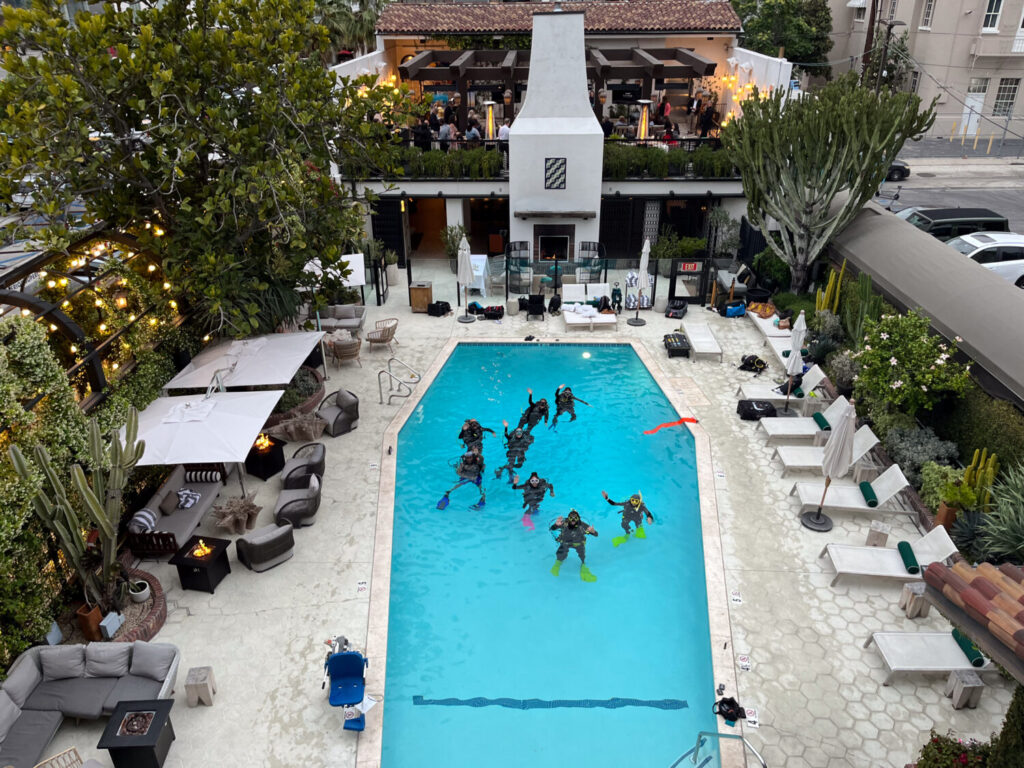Catalina Wine Fest and Scuba Diving Downtown - Here’s What’s Popping Up 39 Catalina