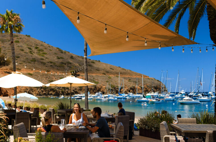 Catalina Wine Fest and Scuba Diving Downtown - Here’s What’s Popping Up 38 Catalina