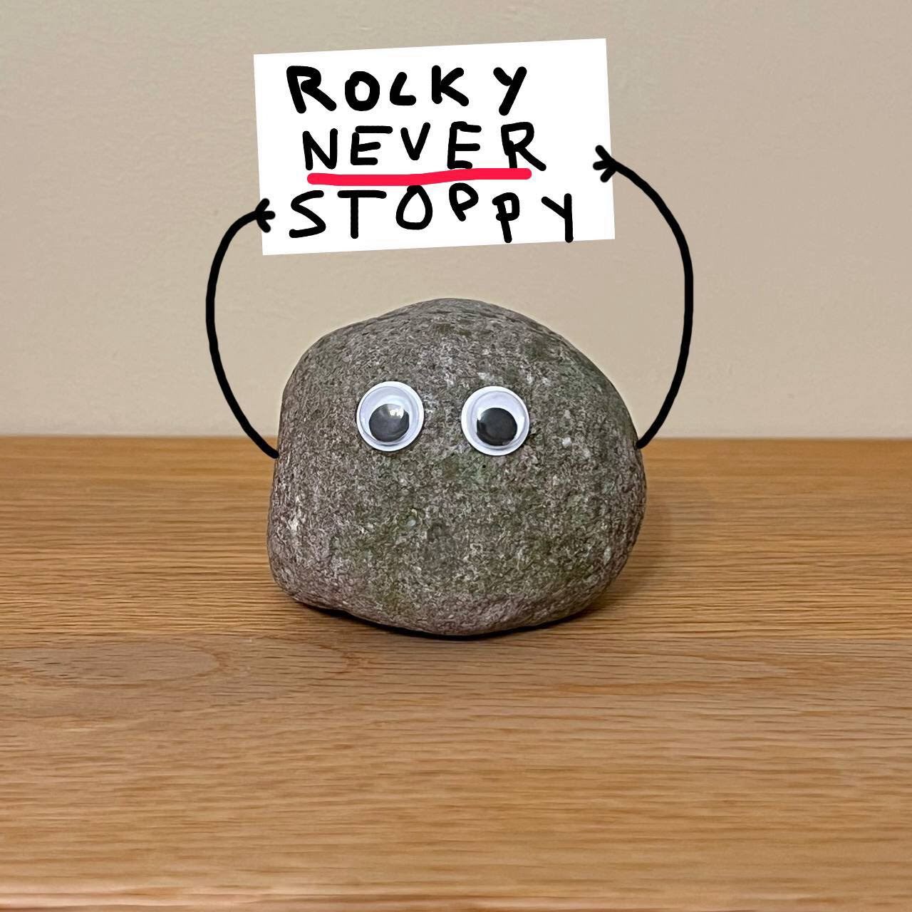 $Rocky: The Meme Coin Rocking the Crypto World 37 IMG 1447 072924