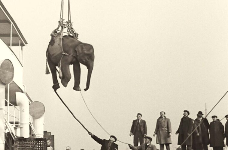 122724 SndtraktoaCoupdEtat photo4 fr KinoLrb