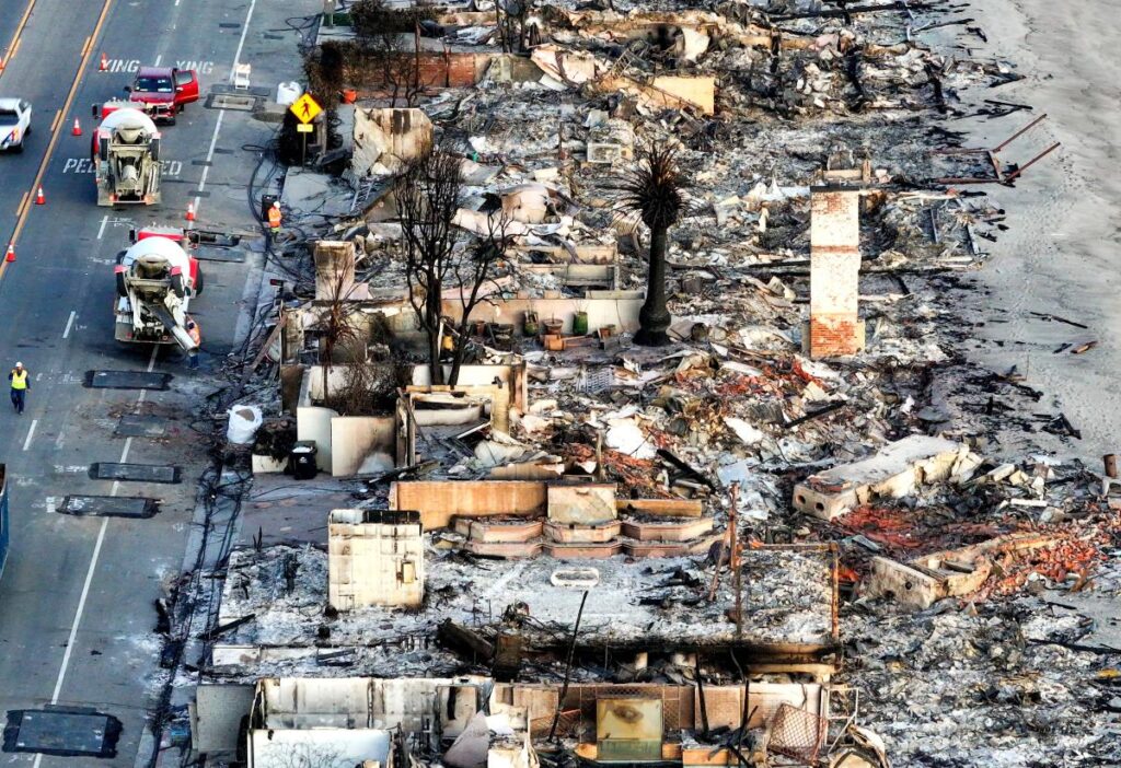 Wildfire