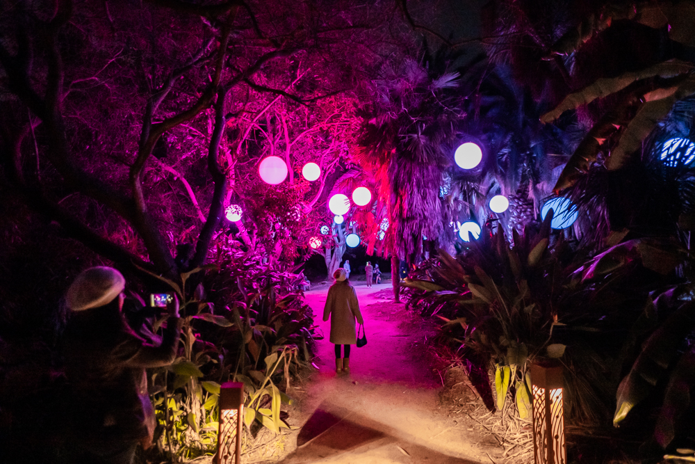 Los Angeles Valentine's Day Guide 2025 39 Astra Lumina Moment Factory 3