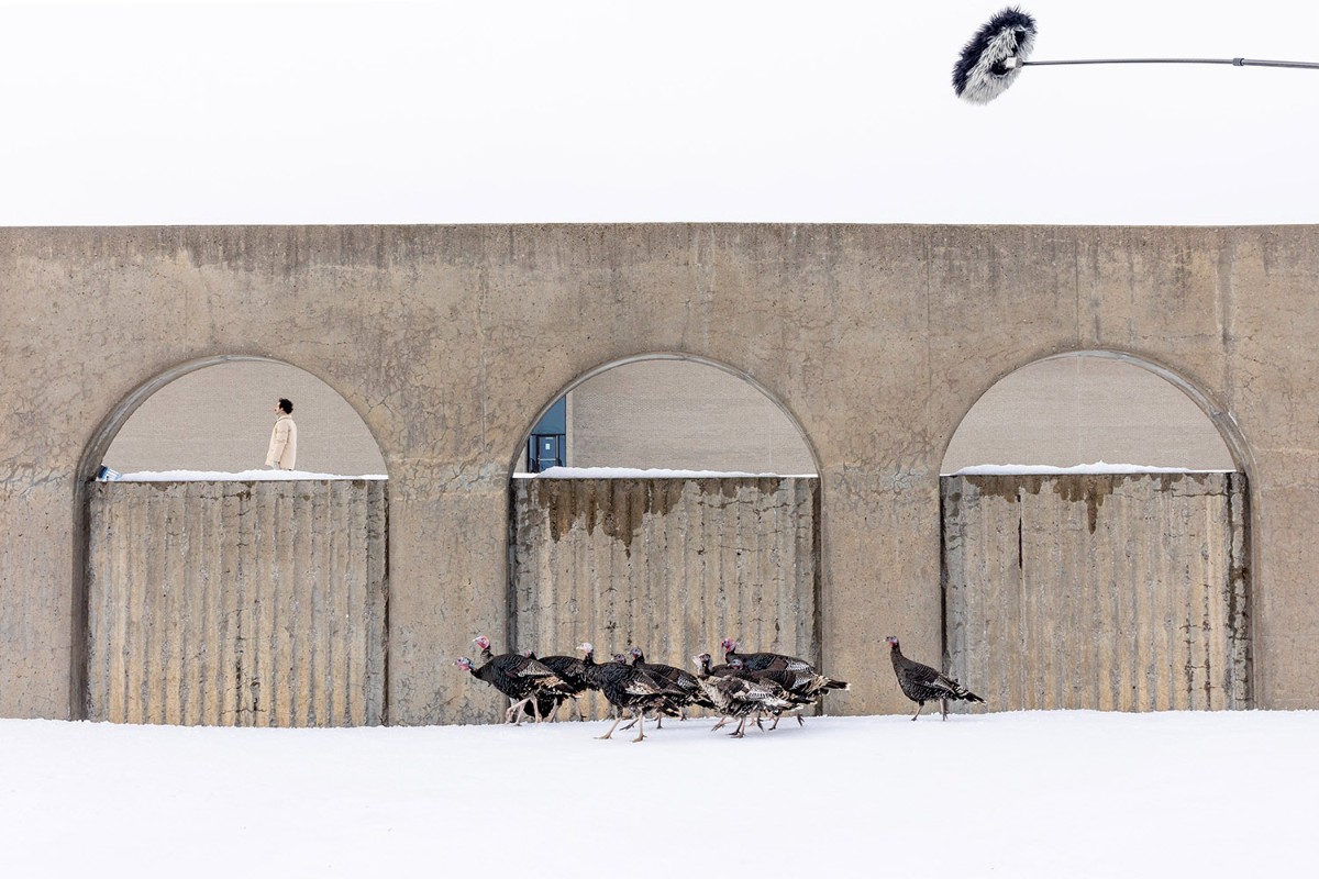 Matthew Rankin’s ‘Universal Language’ Implores Us to Love Thy Neighbor 44 BTS 3 credit Maryse Boyce