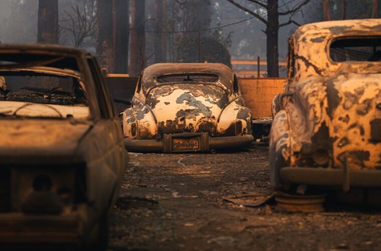 LA Photographers Organize 'Rise LA 2025' to Support LA Fire Victims with Art, Music and Community 38 Jesse Rodriguez fire cropped resize
