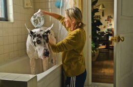 Review: ‘The Friend’ Is More Than Man’s – Or Woman’s – Best Friend 40 032725 The Friend